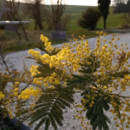 Pensionat La Serenite Nanteuil-Auriac-de-Bourzac